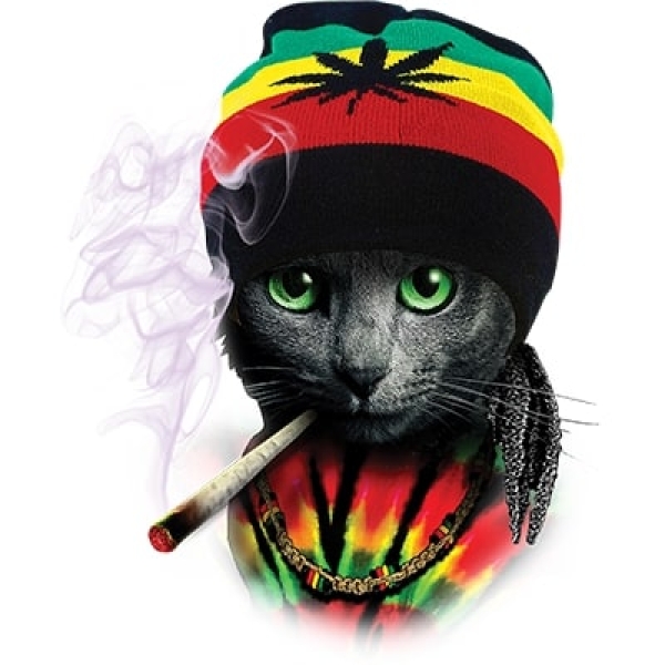 T-Shirt - kurzarm - rasta cat